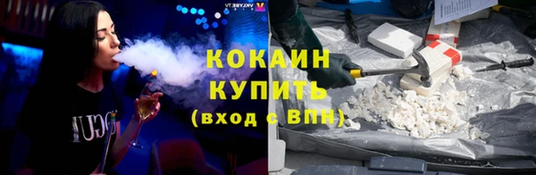 СК Алексин