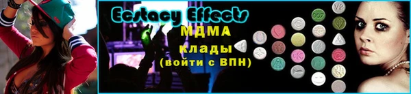 индика Мегион