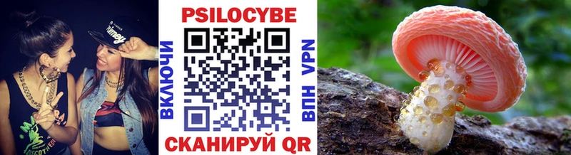 купить   Ступино  Галлюциногенные грибы ЛСД 
